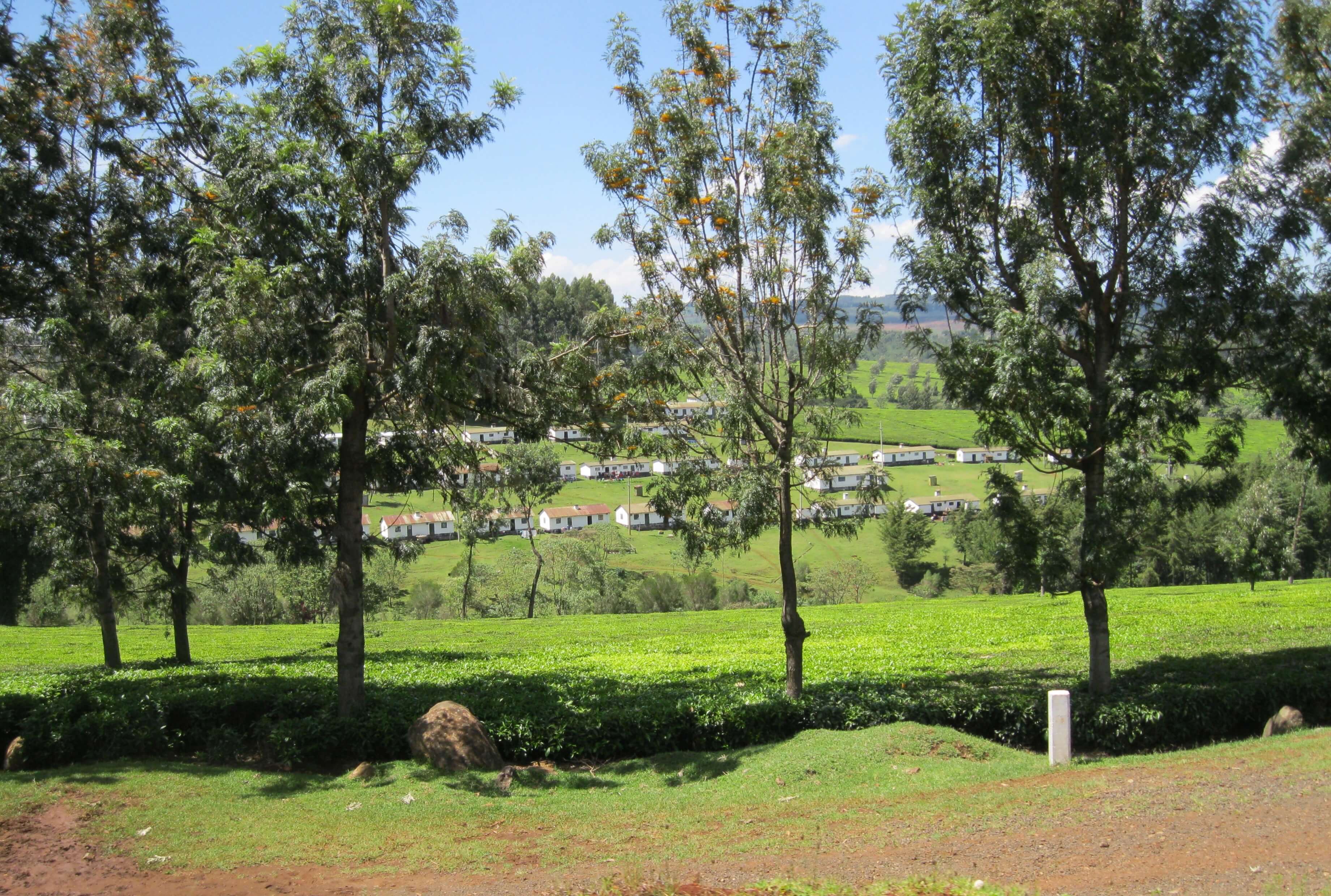 Nakuru to Migori County, Kenya