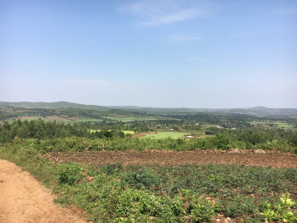 When More is More: a view of green fields and brown roads in Kenya