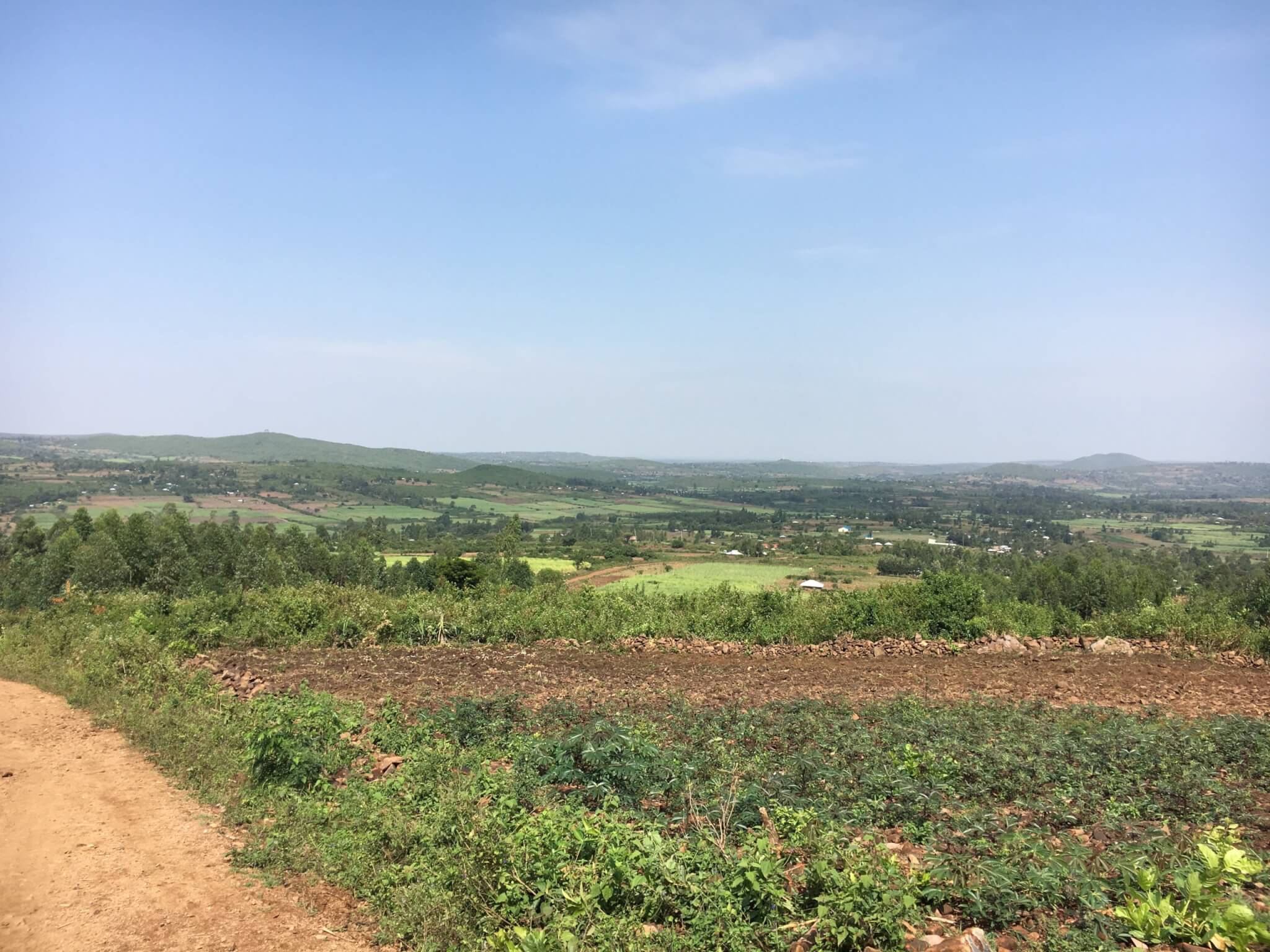 When More is More: a view of green fields and brown roads in Kenya