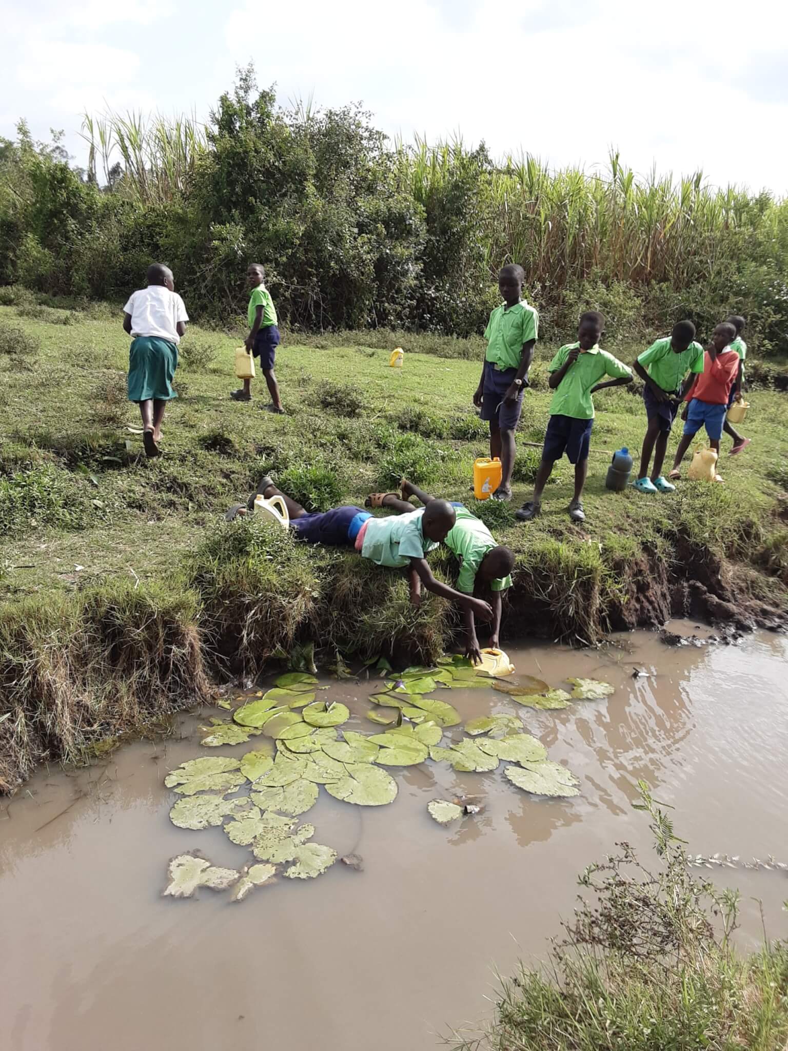 Students collecting muddy water from a river